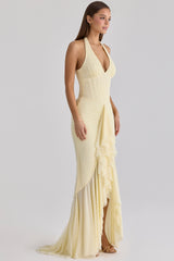 Carmine Lemon Mesh Silhouette Maxi Dress