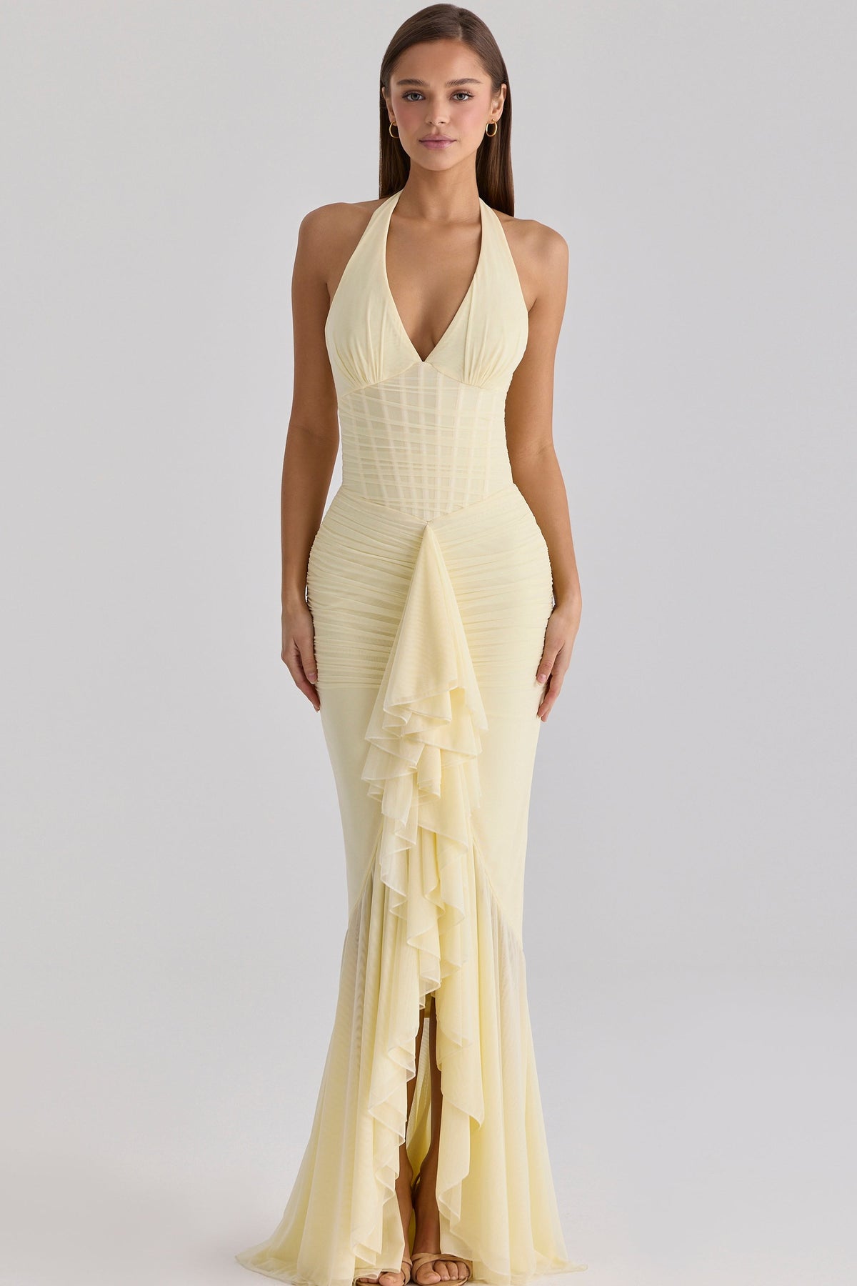 Carmine Lemon Mesh Silhouette Maxi Dress
